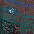 картинка Clans of Scotland MacGillivray Hunting Ancient от магазина  Mykilt